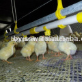 Trade Assurance Day Old Chicken Cage With Drinker and Feeder